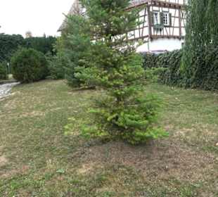 Sankt Blasius Kirche