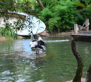 Feather Dale Wildlife Park