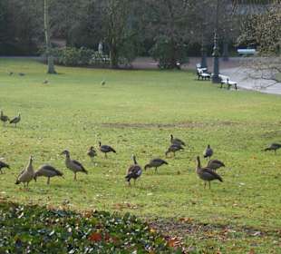 Im Kurpark