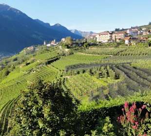 Blick vom Panoramasteg