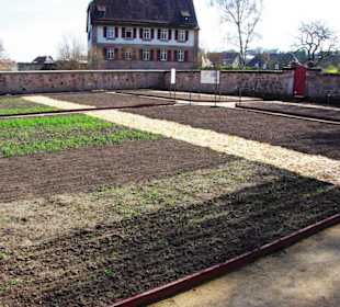 Der Burggarten