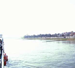 Rhein-Schifffahrt mit der Köln - Düsseldorfer