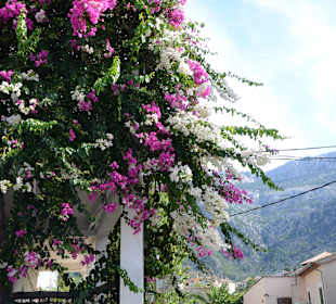 Soller Stadt