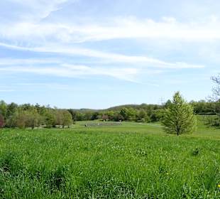 Garten Hohenheim