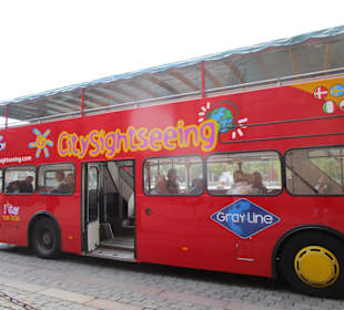  City Sightseeing Bustour