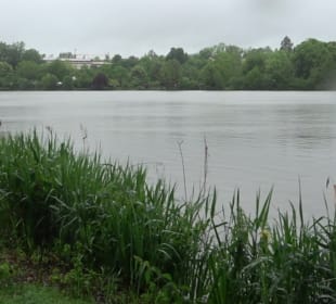 Stadtsee