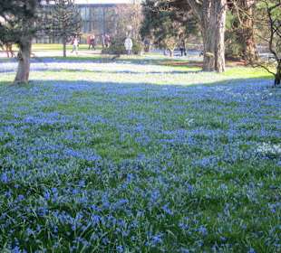 Der Botanische Garten im März 14
