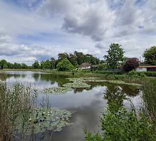 Seewoog in Ramstein-Miesenbach