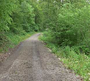Wanderparkplatz Ruine Kaltenburg