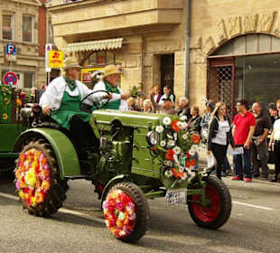Stadtverband der Kleingärtner Fürth