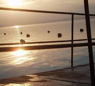 Balaton