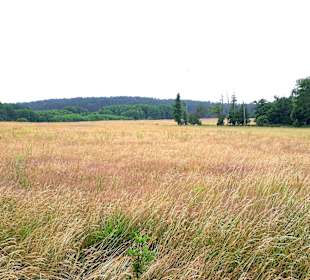 Wanderung Halbinsel Gnitz