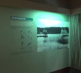 Jagdtier + Vogelkunde