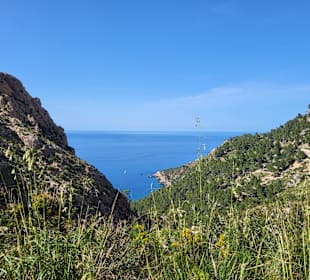 Traumhafte Natur