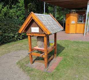 Im Bienengarten des Park der Gärten