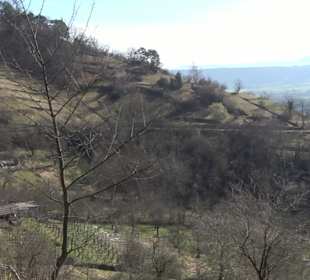 Naturschutzgebiet Hirschauer Berg