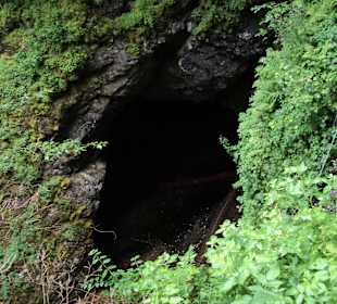 Scarisoara