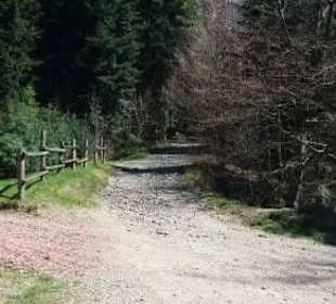 Czarny szlak początek 