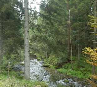 Von Bayerisch Eisenstein nach Ludwigsthal
