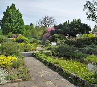 Spaziergang durch den Berggarten Hannover