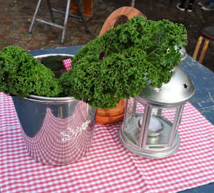 Eingedeckte Tische bei ""Hallo Grünkohl"