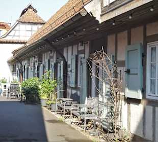 Eindrücke vom Rundgang durch Königsberg