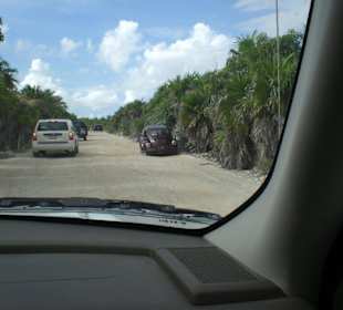 Fahrt nach Punta Allen