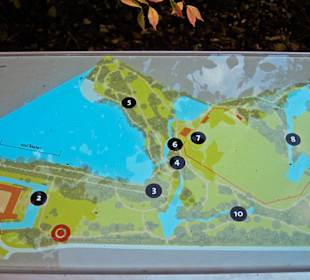 Парк Замка Ойтин. Золотая осень.