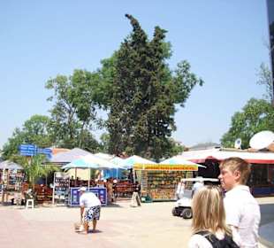 Einkaufsstraße Kuban