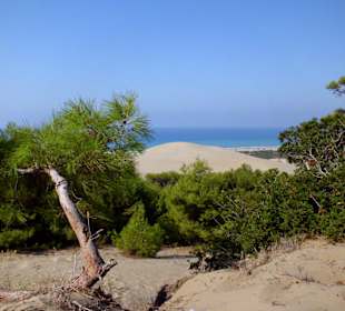 Durch die Dünen zum Strand