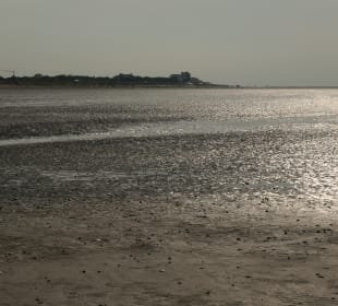 Beim Nordsee-Wattenmeer bei Cuxhaven