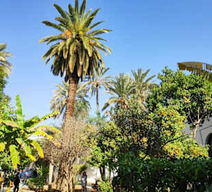 Bahia Palast