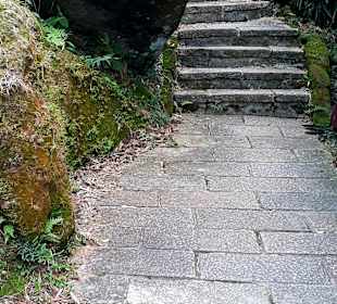 Elephant Mountain Xiangshan Hiking Trail