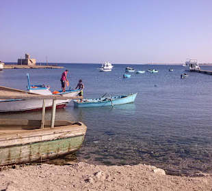 Stadtrundfahrt nach El Quseir von Marsa Alam 