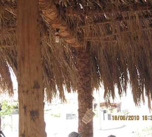 Energiebewusstes Denken in der Wüste 