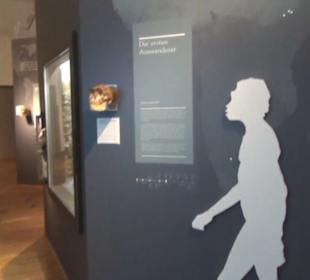 Niedersächsisches Landesmuseum