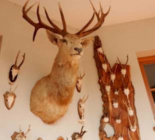 Jagd-Trophäen