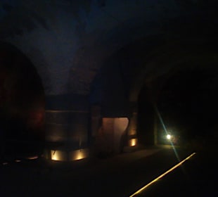 Zitadelle Burgfestung in Bitche