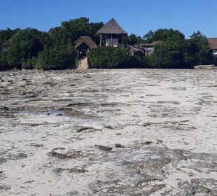 Pongwe Strand