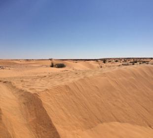 Dans le désert