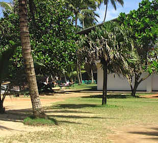 Nähe der Tauchstation Ypsolon