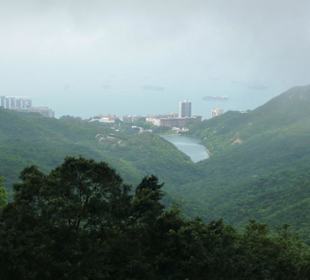 Der Blick "nach hinten raus"