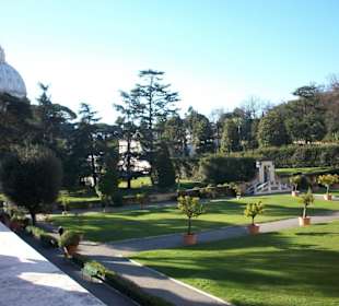 Sonne über den Gärten.