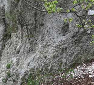 Burgruine Hohenhundersingen