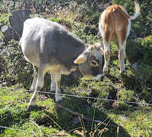 Wandern Saltaus in Passeier