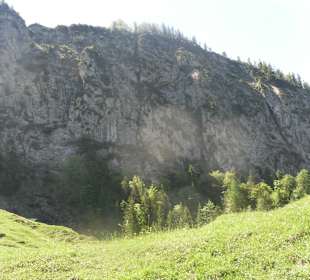 Aschinger Alm