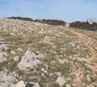 Unterwegs auf der Insel Krk