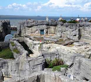 Blick über den Zoo am Meer