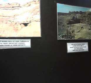 Naturhistorisches Museum