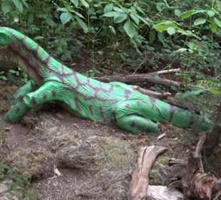 Dinosaurier Museum Altmühltal